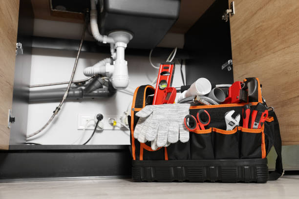 Reliable Lake Panasoffkee, FL Plumbing Solutions