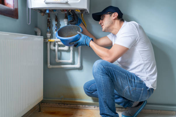 Best Plumbing Services Near Me  in Lake Panasoffkee, FL