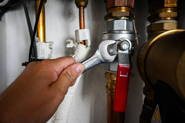 Best Water Leak Repair  in Lake Panasoffkee, FL